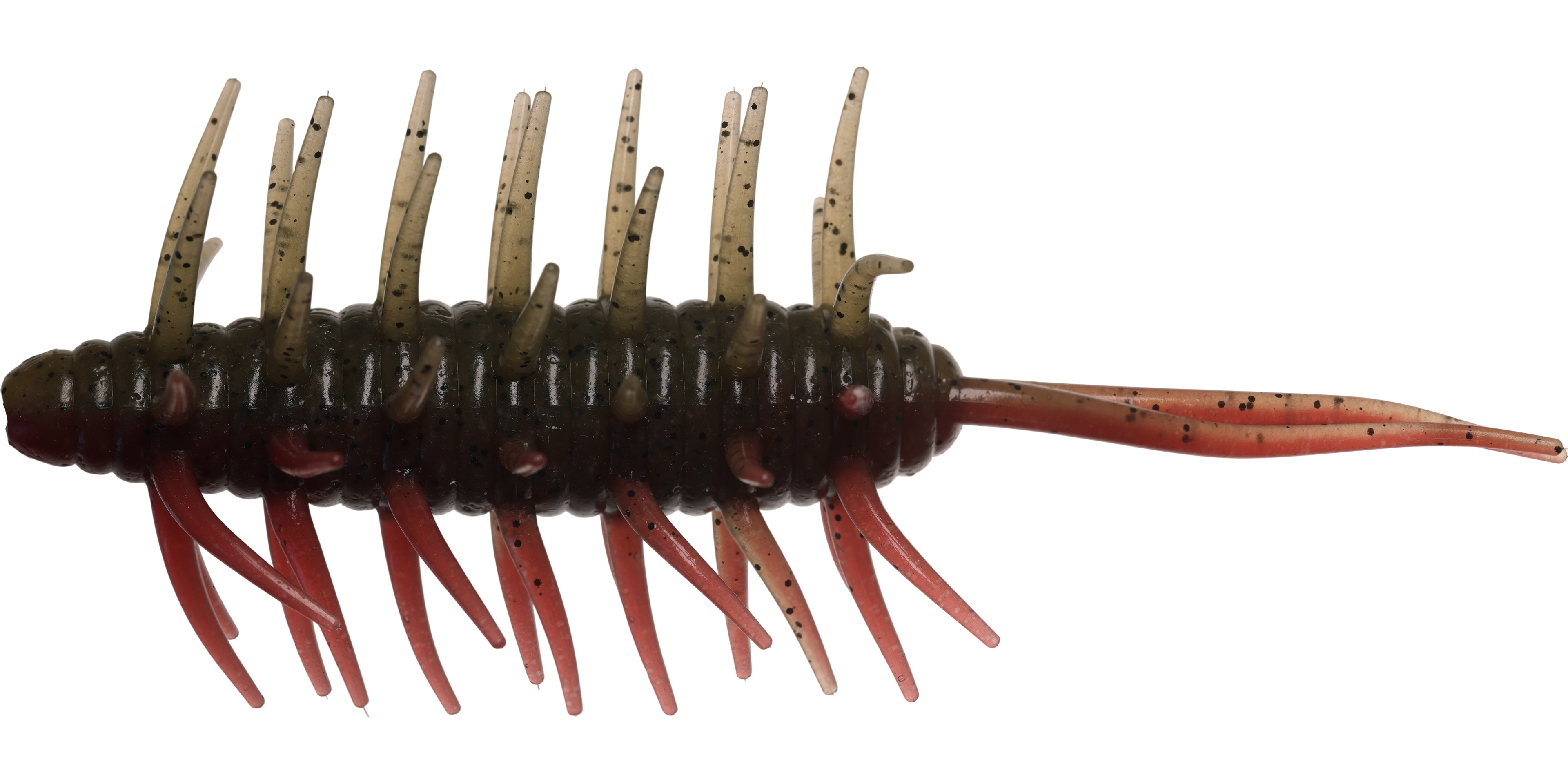 Coike Shrimp Mangun - HIDEUP