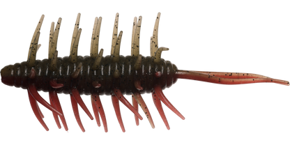 Coike Shrimp Mangun - HIDEUP