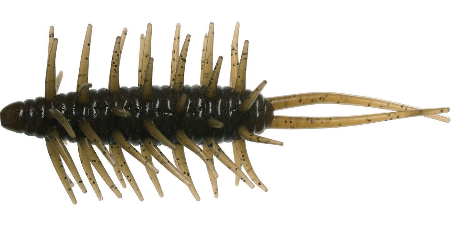 Coike Shrimp Mangun - HIDEUP