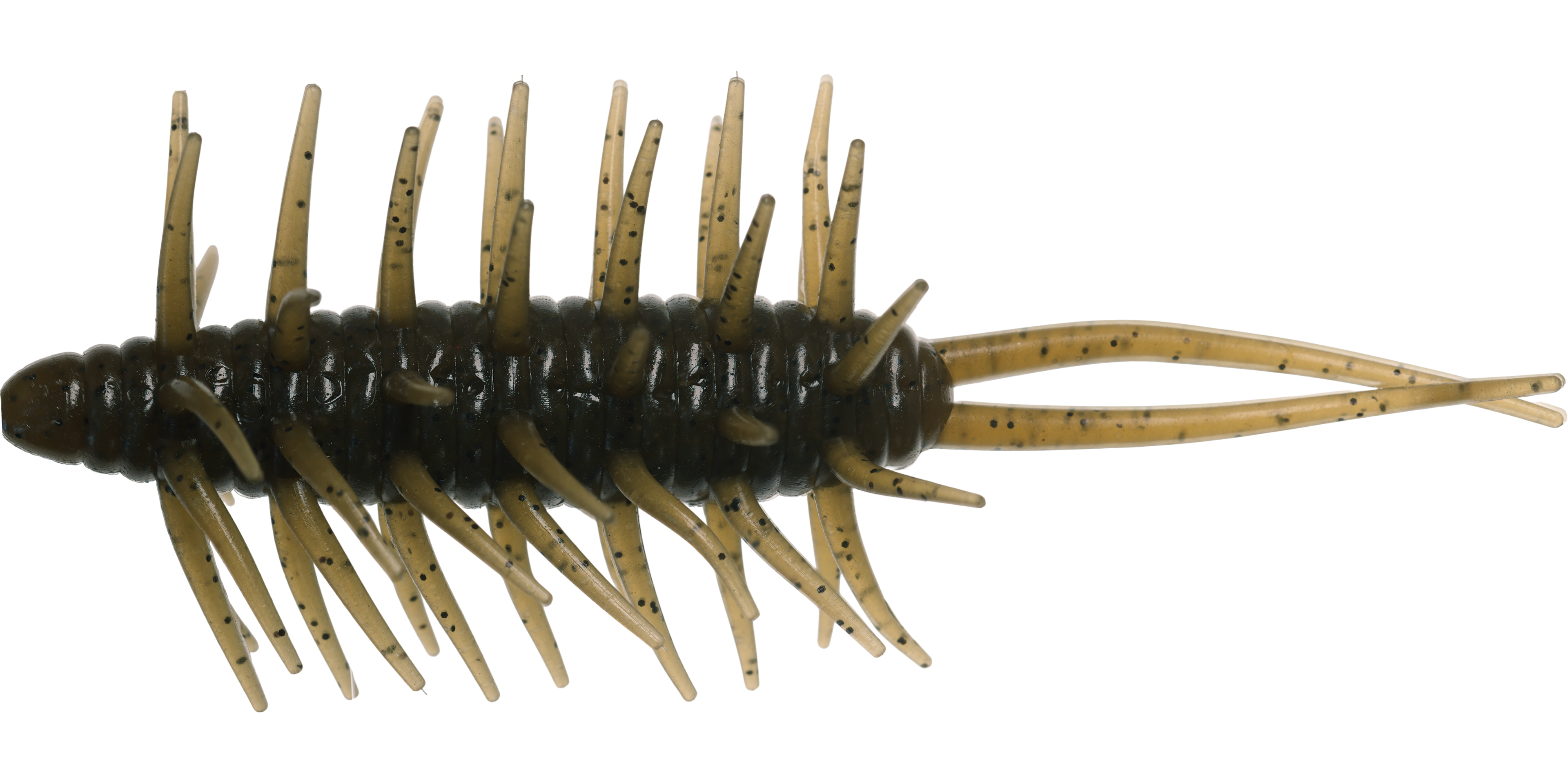 Coike Shrimp Mangun - HIDEUP