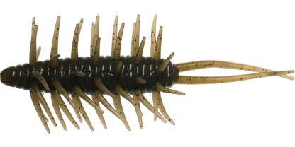 Coike Shrimp Mangun - HIDEUP