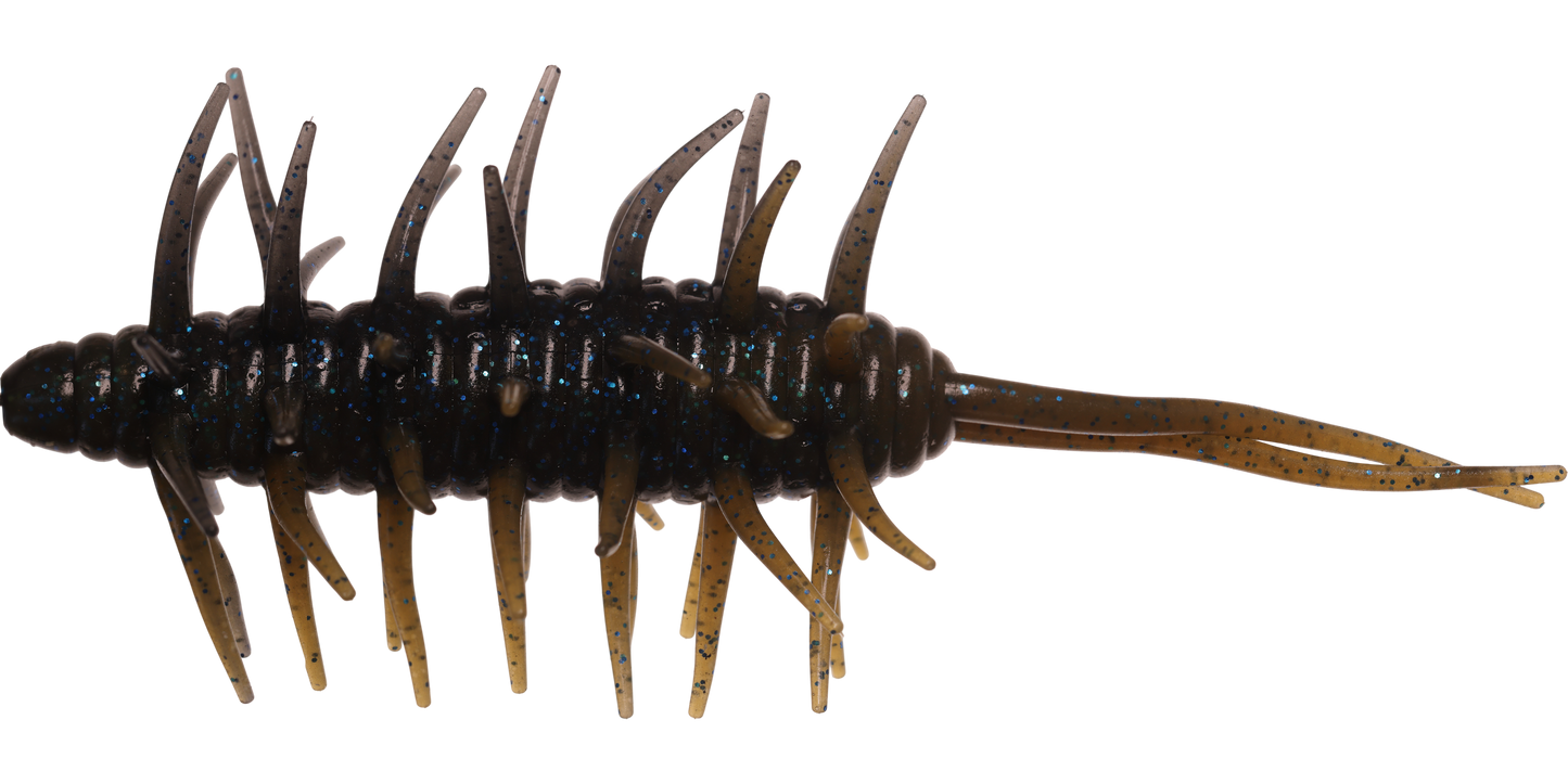 Coike Shrimp Mangun - HIDEUP