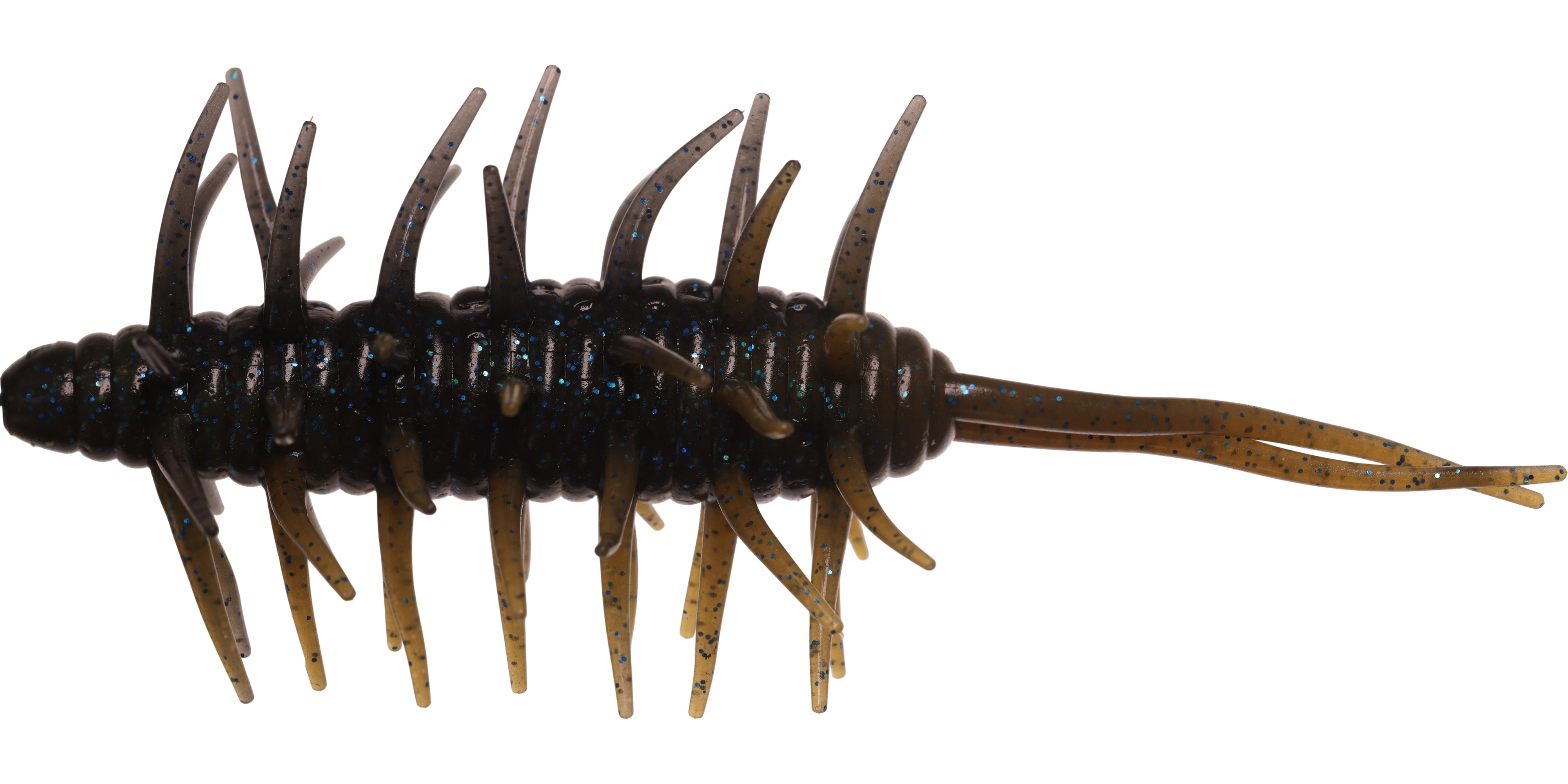 Coike Shrimp Mangun - HIDEUP