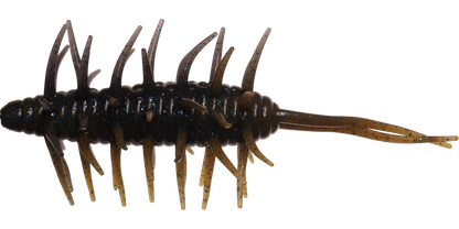 Coike Shrimp Mangun - HIDEUP