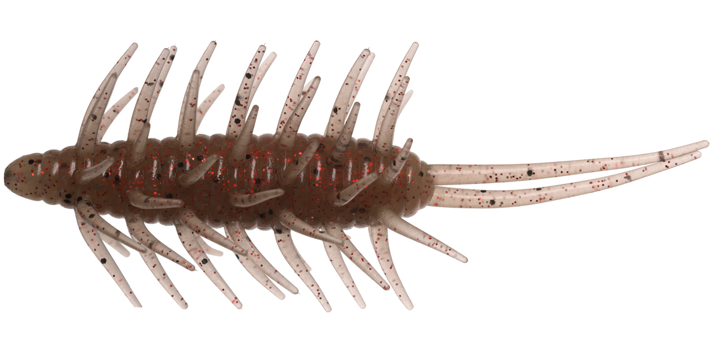 Coike Shrimp Mangun - HIDEUP