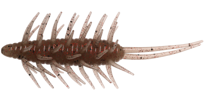 Coike Shrimp Mangun - HIDEUP