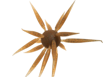 crayme ライム ライム［RME］ | 淡陶社