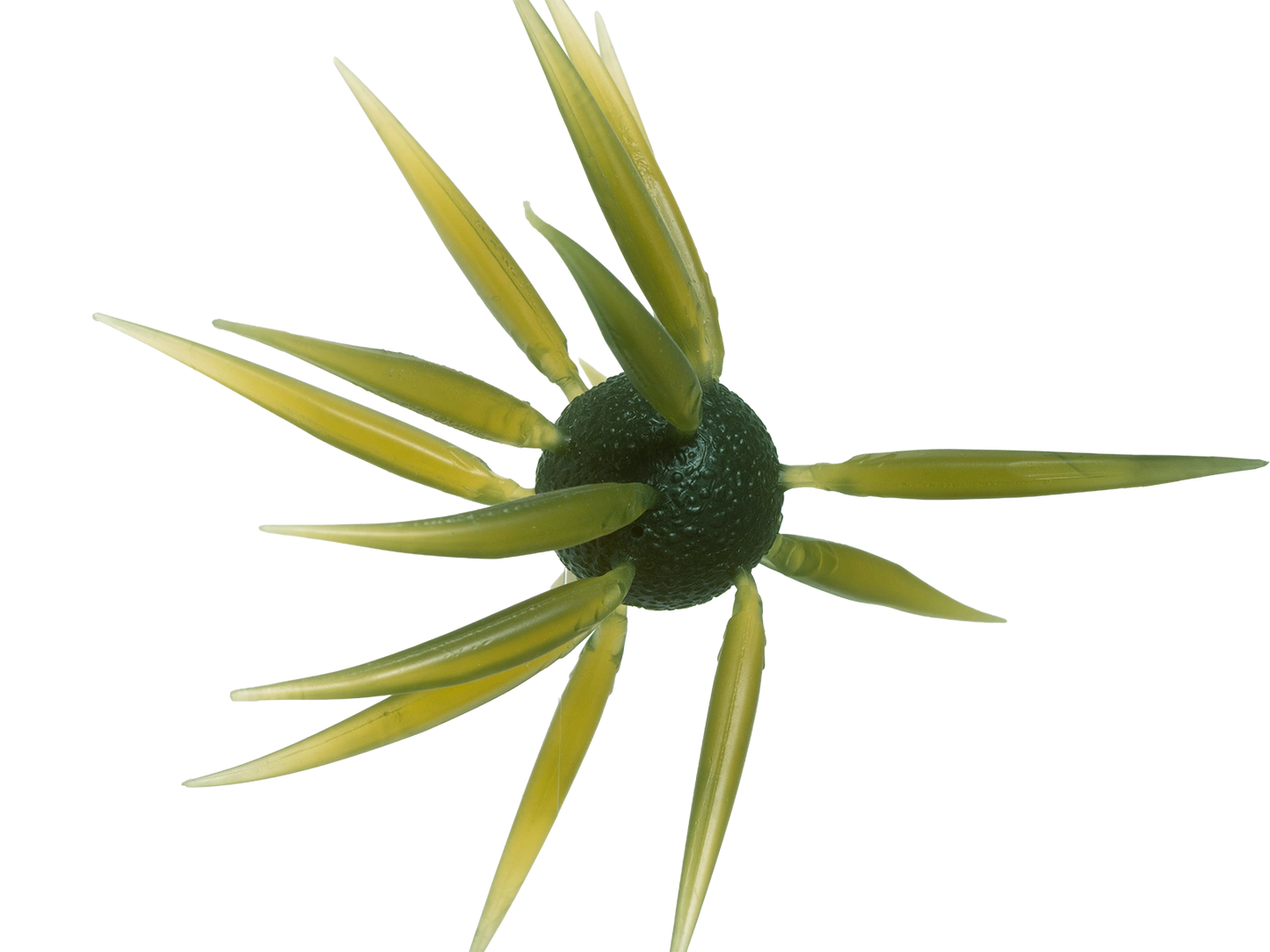 Coike Fish L Elastomer - HIDEUP