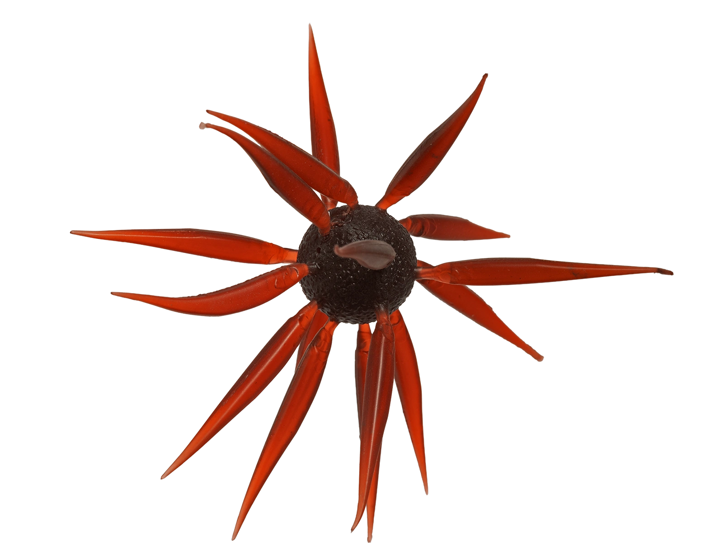 Coike Fish L Elastomer - HIDEUP