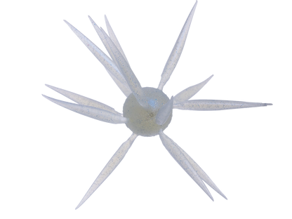 Coike Fish L Elastomer - HIDEUP