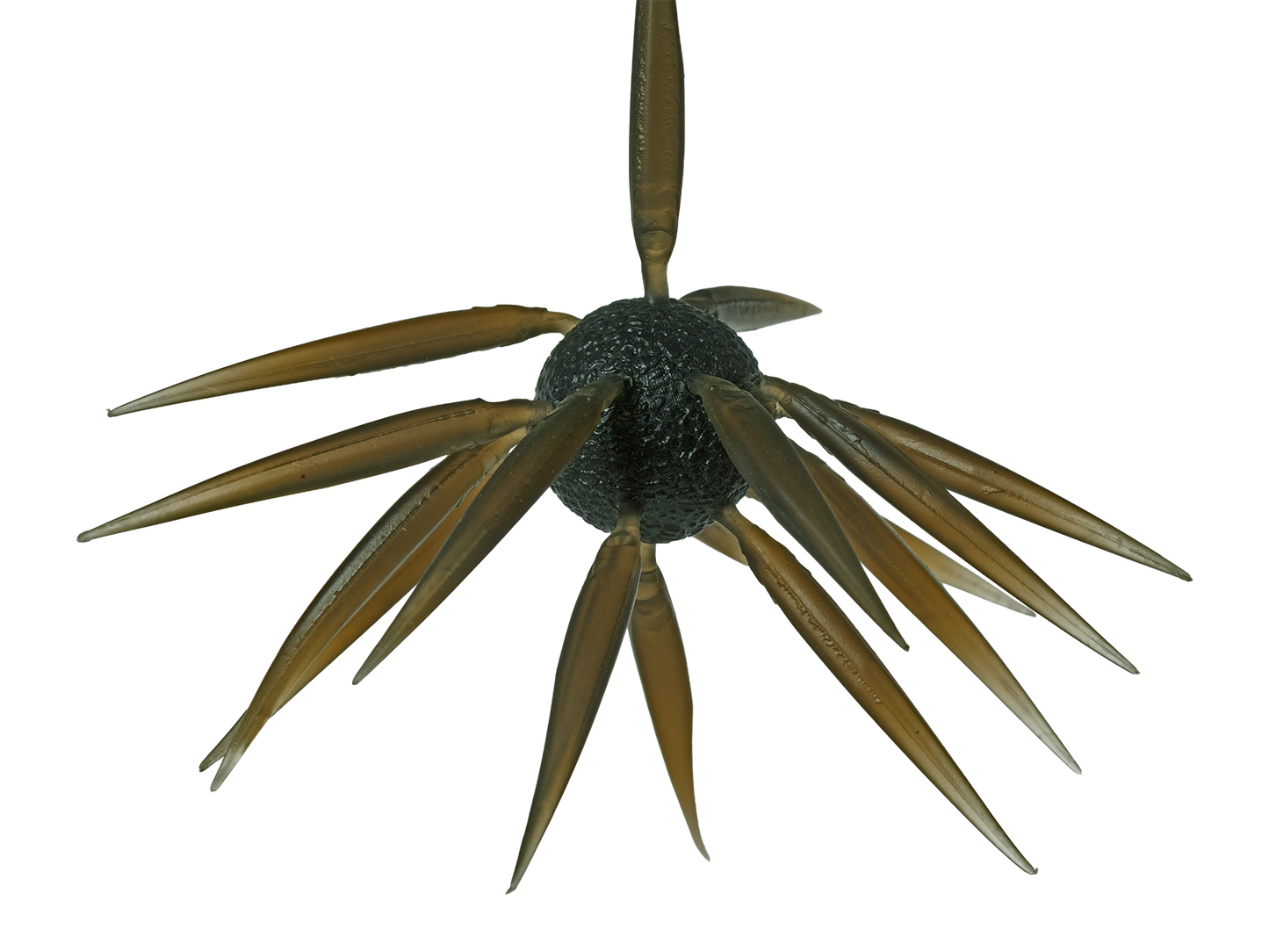 Coike Fish L Elastomer - HIDEUP