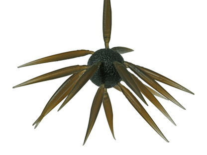 Coike Fish L Elastomer - HIDEUP