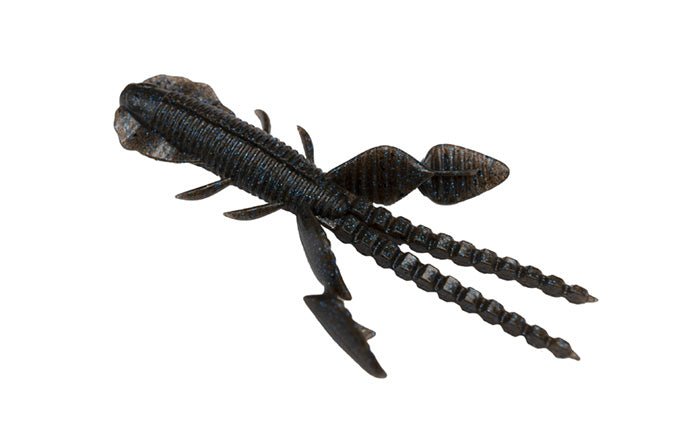 Empel Bug - Galápagos