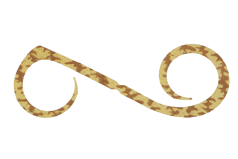 BINBIN SWITCH DUAL CURLY - JACKALL