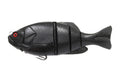 Gill Flat Swimmer - ISSEI