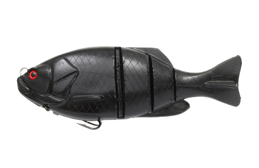 Gill Flat Swimmer - ISSEI