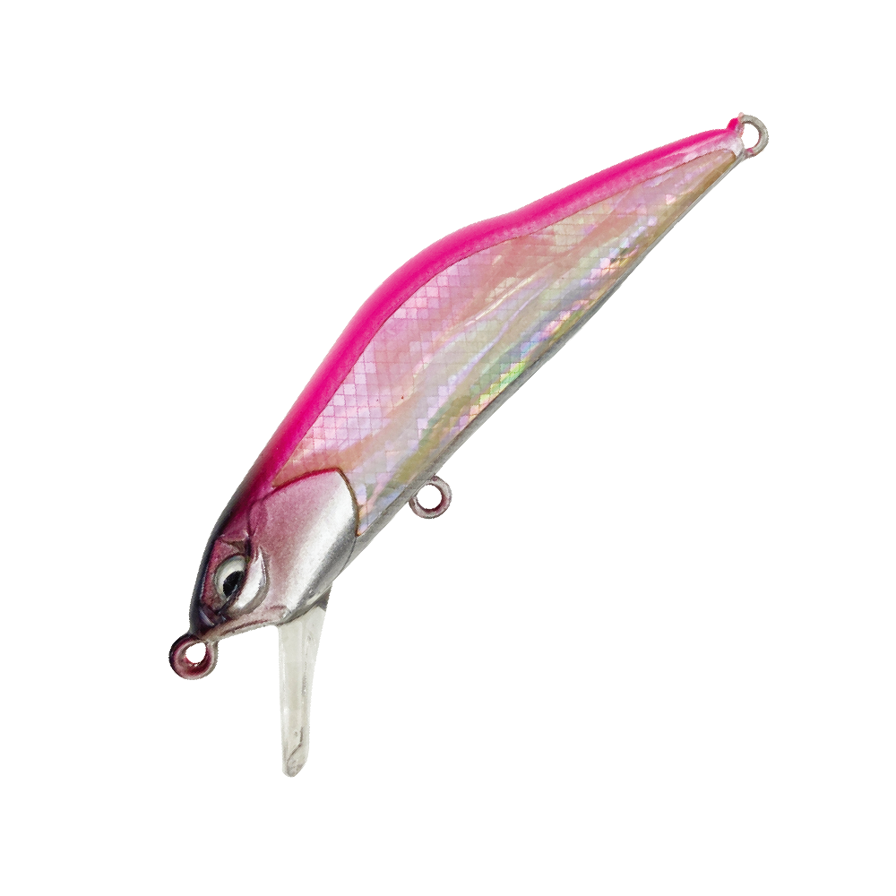HARDSTREAMS T-Gravits Abalone - IVYLINE