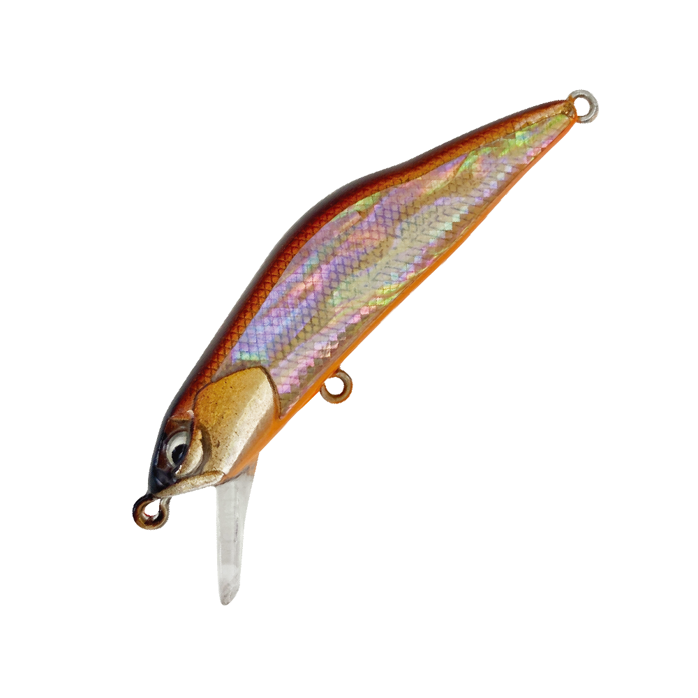 HARDSTREAMS T-Gravits Abalone - IVYLINE