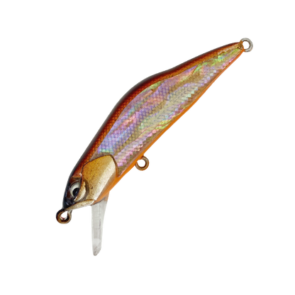HARDSTREAMS T-Gravits Abalone - IVYLINE