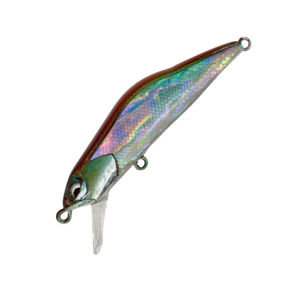 HARDSTREAMS T-Gravits Abalone - IVYLINE