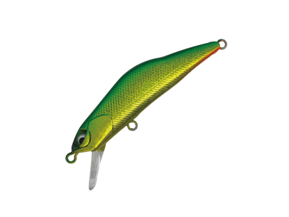 HARDSTREAMS T-Gravits - IVYLINE