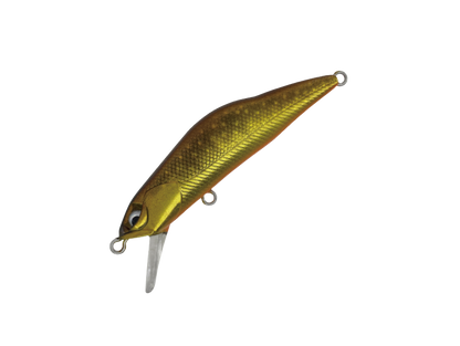 HARDSTREAMS T-Gravits - IVYLINE
