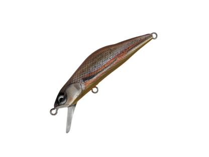HARDSTREAMS T-Gravits - IVYLINE