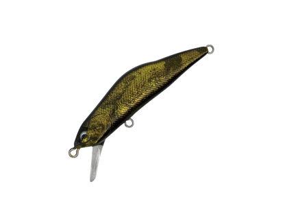 HARDSTREAMS T-Gravits - IVYLINE