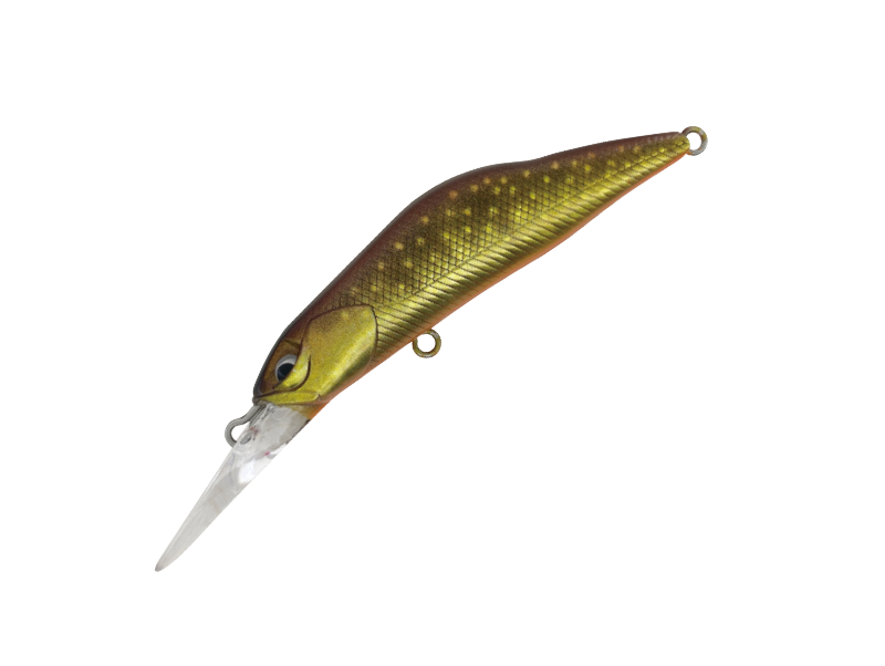 HARDSTREAMS T-Gravits - IVYLINE