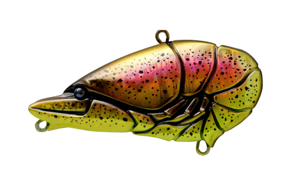 G.C. Zari Vib Jr.57 - ISSEI