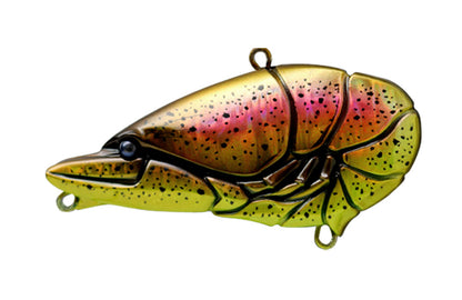 G.C. Zari Vib Jr.57 - ISSEI