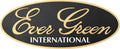 Evergreen 3D Sticker - EVERGREEN