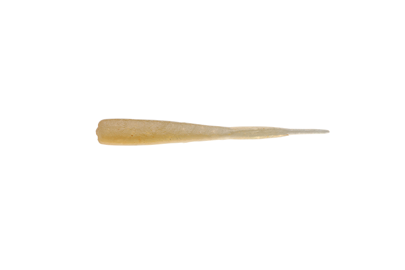 PEKETAIL TIDEPEPPER 2′′ - JACKALL