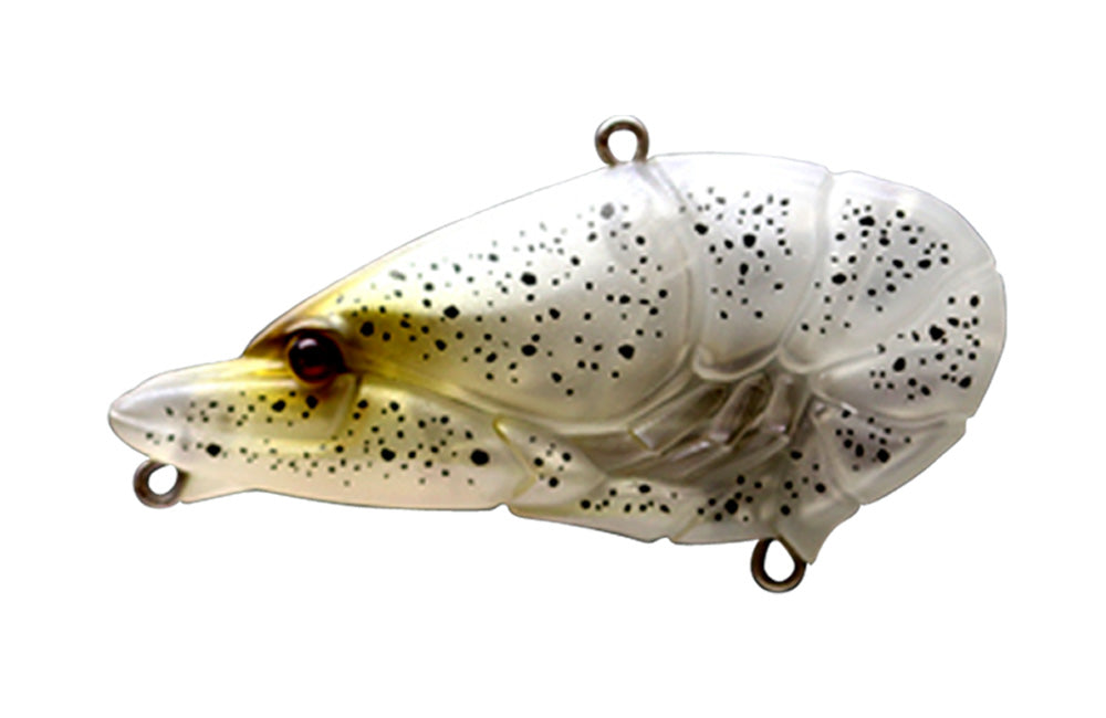 G.C. Zari Vib Jr.57 - ISSEI