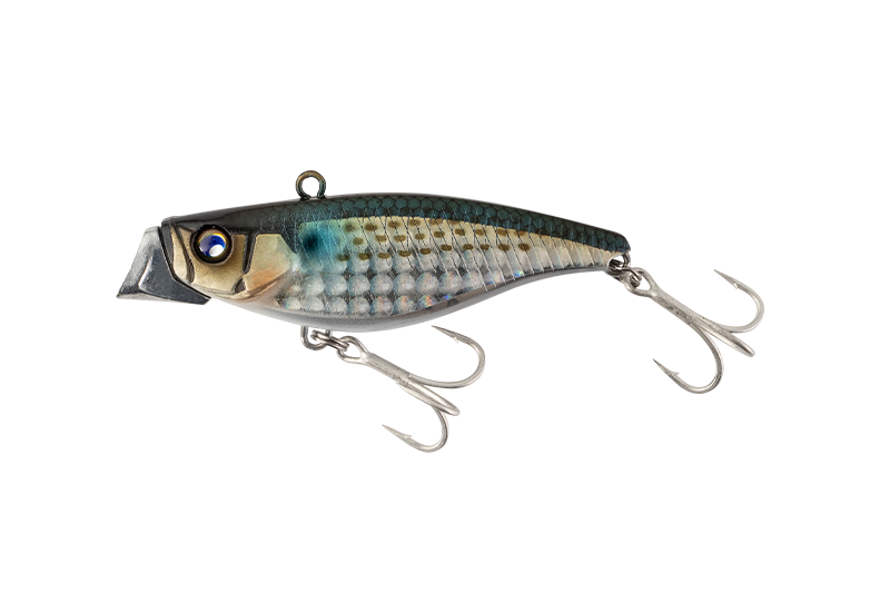 ZINARI 65/65HW - JACKALL