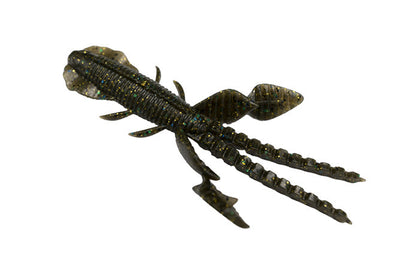 Empel Bug - Galápagos