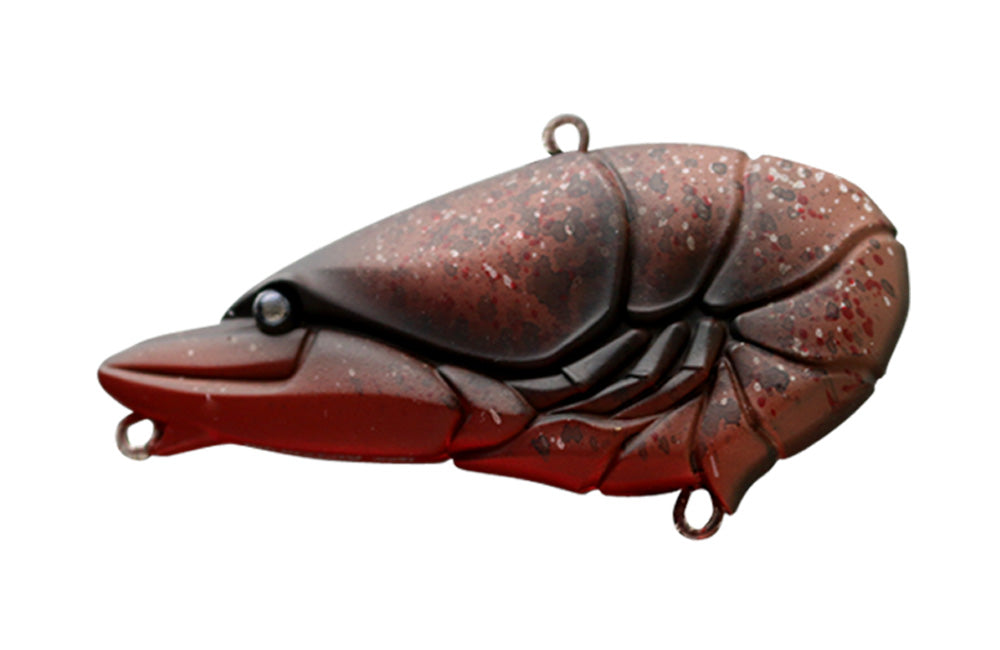 G.C. Zari Vib Jr.57 - ISSEI