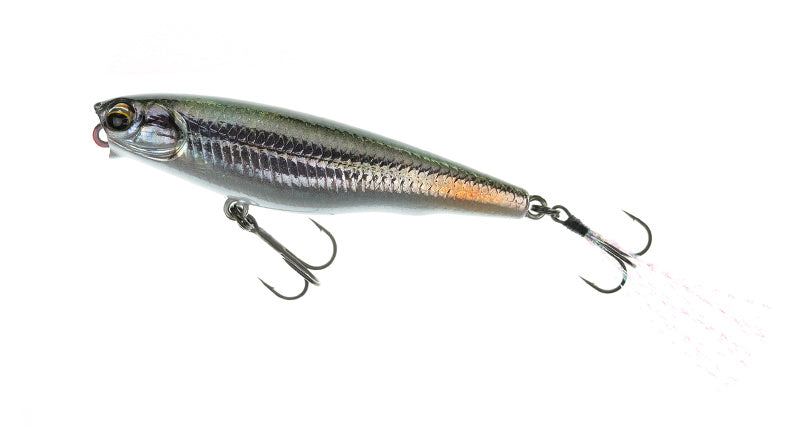 Dilemma Popper 70 - IMAKATSU