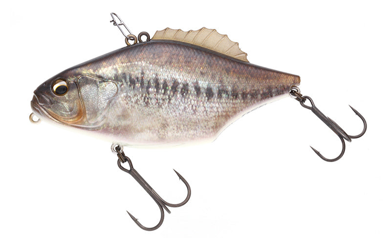 Magnum Gill Sonic - IMAKATSU