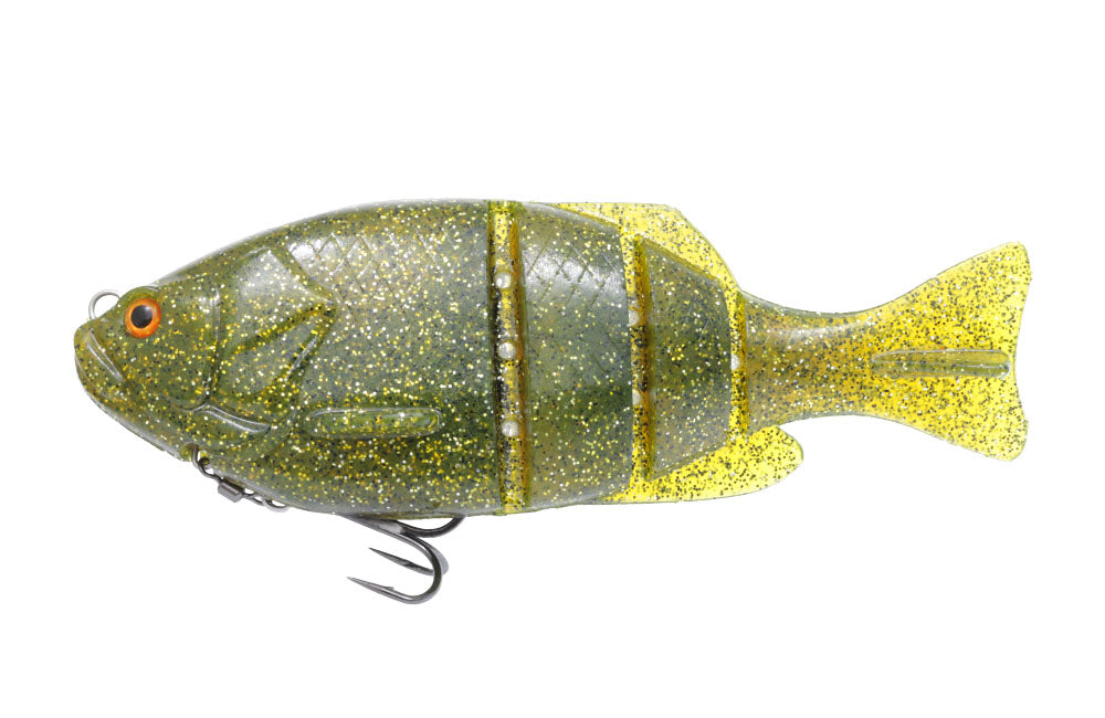 Gill Flat Swimmer - ISSEI