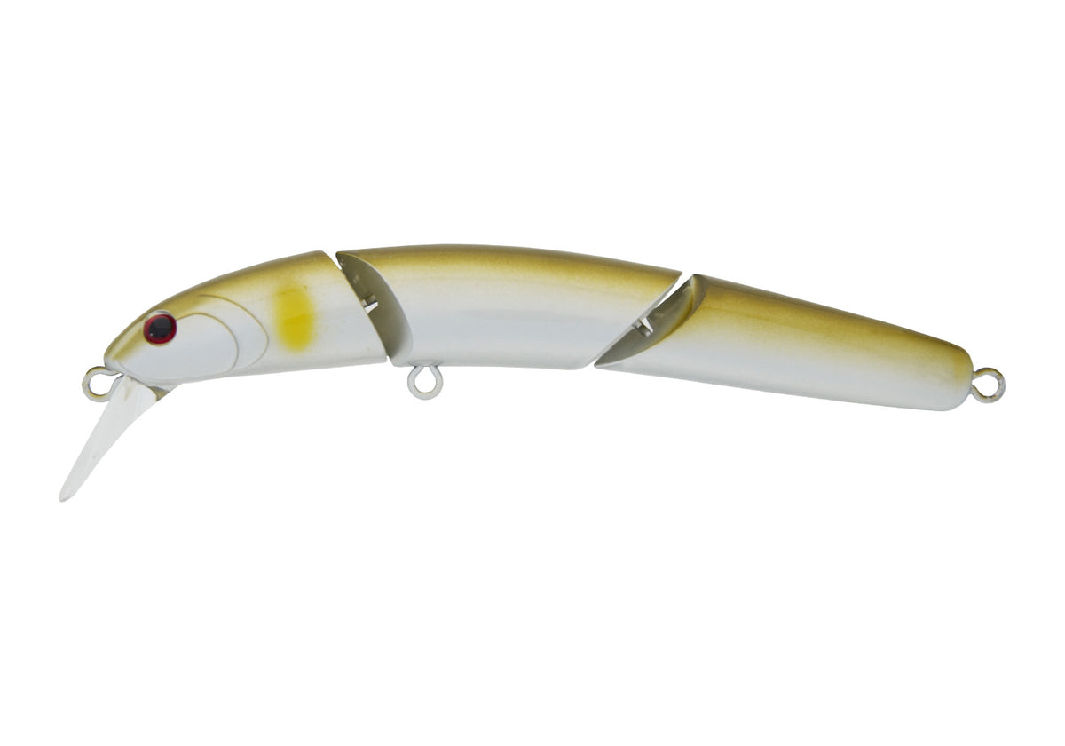 Hydram 100S - ValkeIN