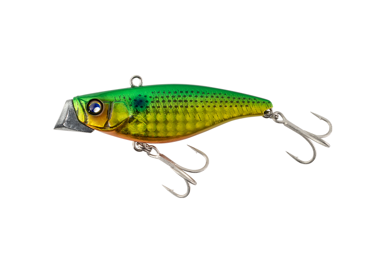 ZINARI 65/65HW - JACKALL