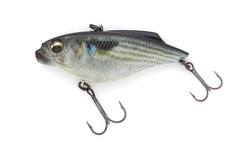 Piranha - IMAKATSU