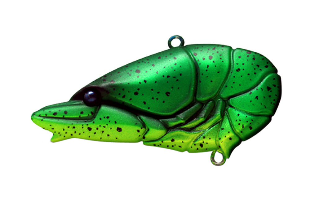 G.C. Zari Vib Jr.57 - ISSEI