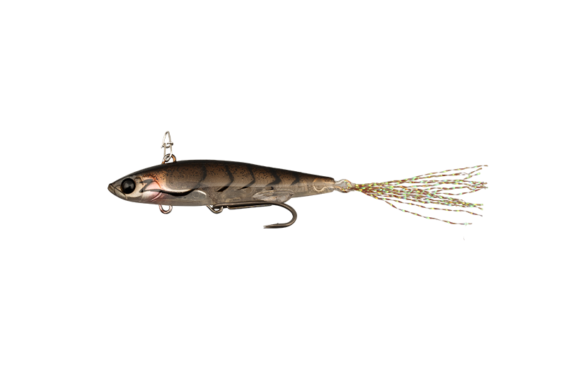 LIVE DARTER - JACKALL