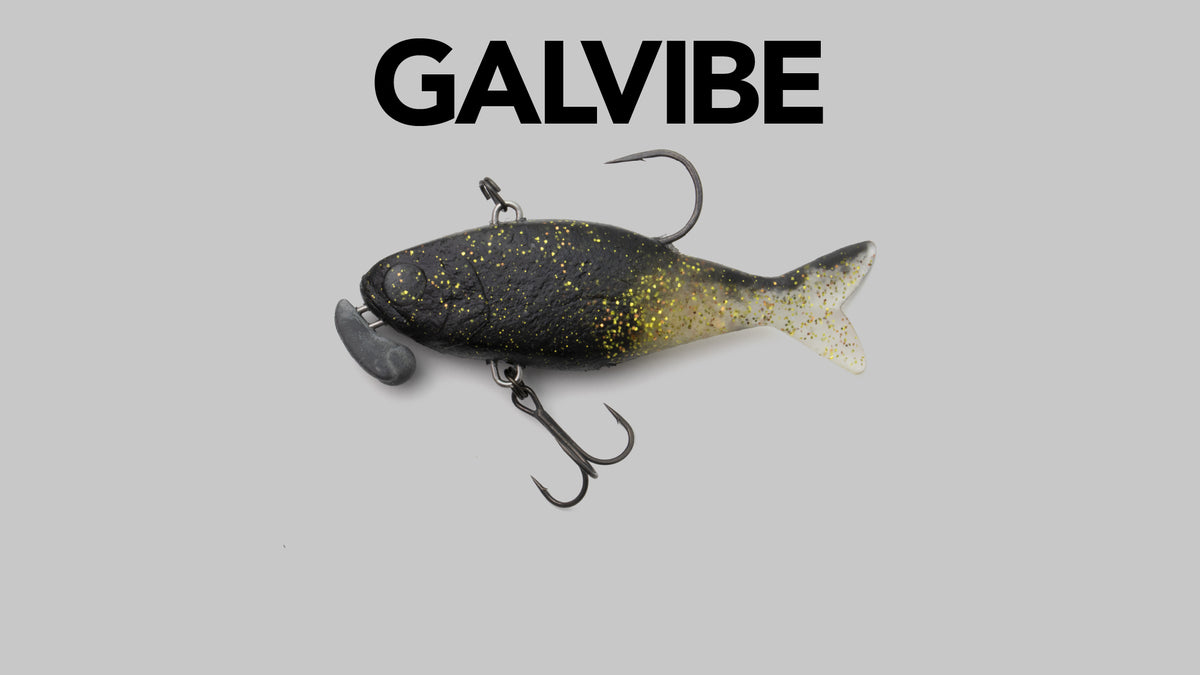 Galvibe - JACKALL
