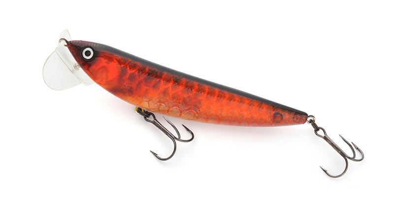 LOT BT100 - IMAKATSU