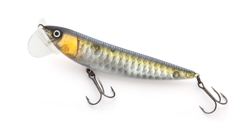 LOT BT100 - IMAKATSU