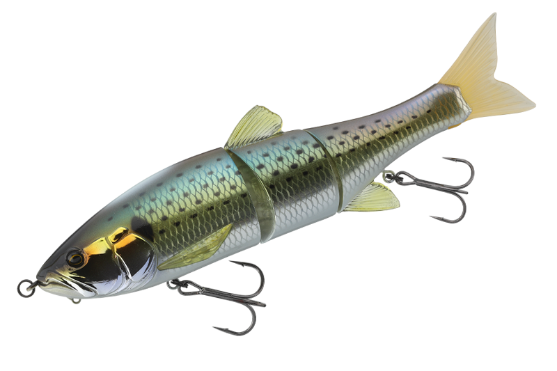 DOWZ SWIMMER Saltwater Color - JACKALL