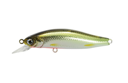 G.C. Minnow 55SR-F - ISSEI